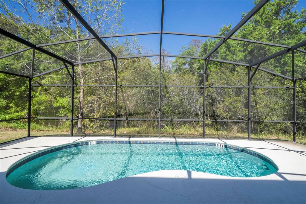 4561 Cabello Loop Kissimmee, FL 34746 - Photo 60 of 100