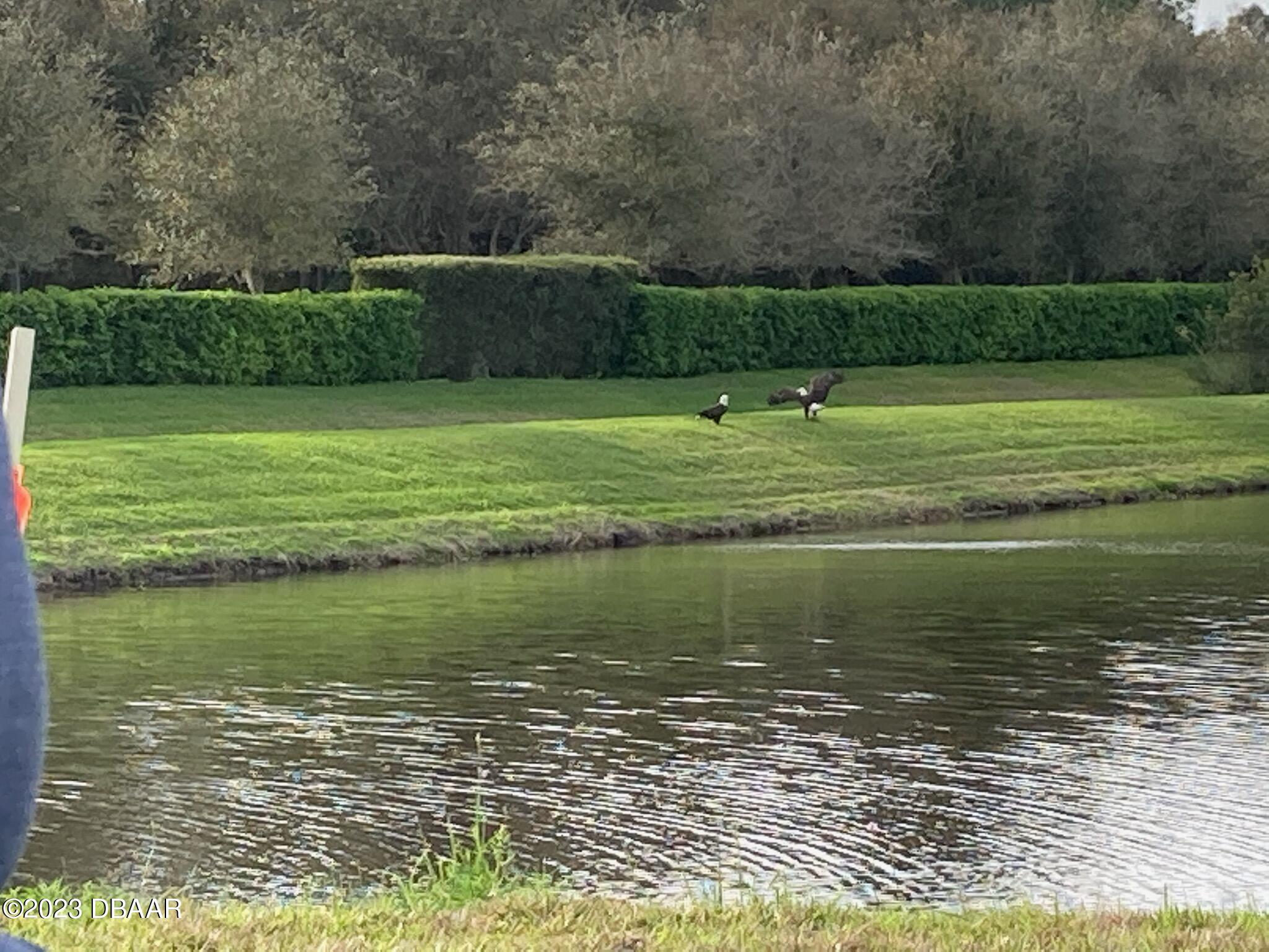 1323 Bangor Drive Ormond Beach, FL 32174 - Photo 41 of 47 IMG_0145(1)