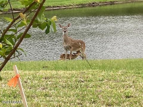 1323 Bangor Drive Ormond Beach, FL 32174 - Photo 42 of 47 IMG_0171
