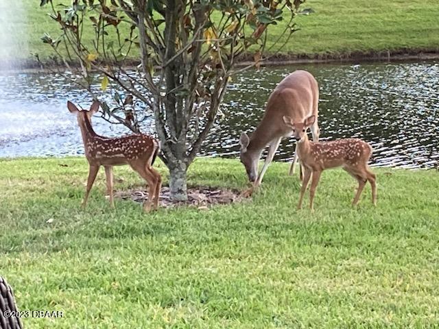 1323 Bangor Drive Ormond Beach, FL 32174 - Photo 45 of 47 IMG_0438