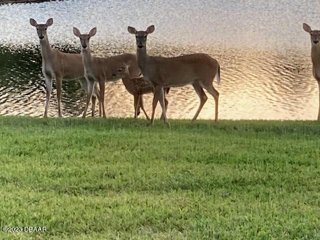 1323 Bangor Drive Ormond Beach, FL 32174 - Photo 46 of 47 IMG_0440