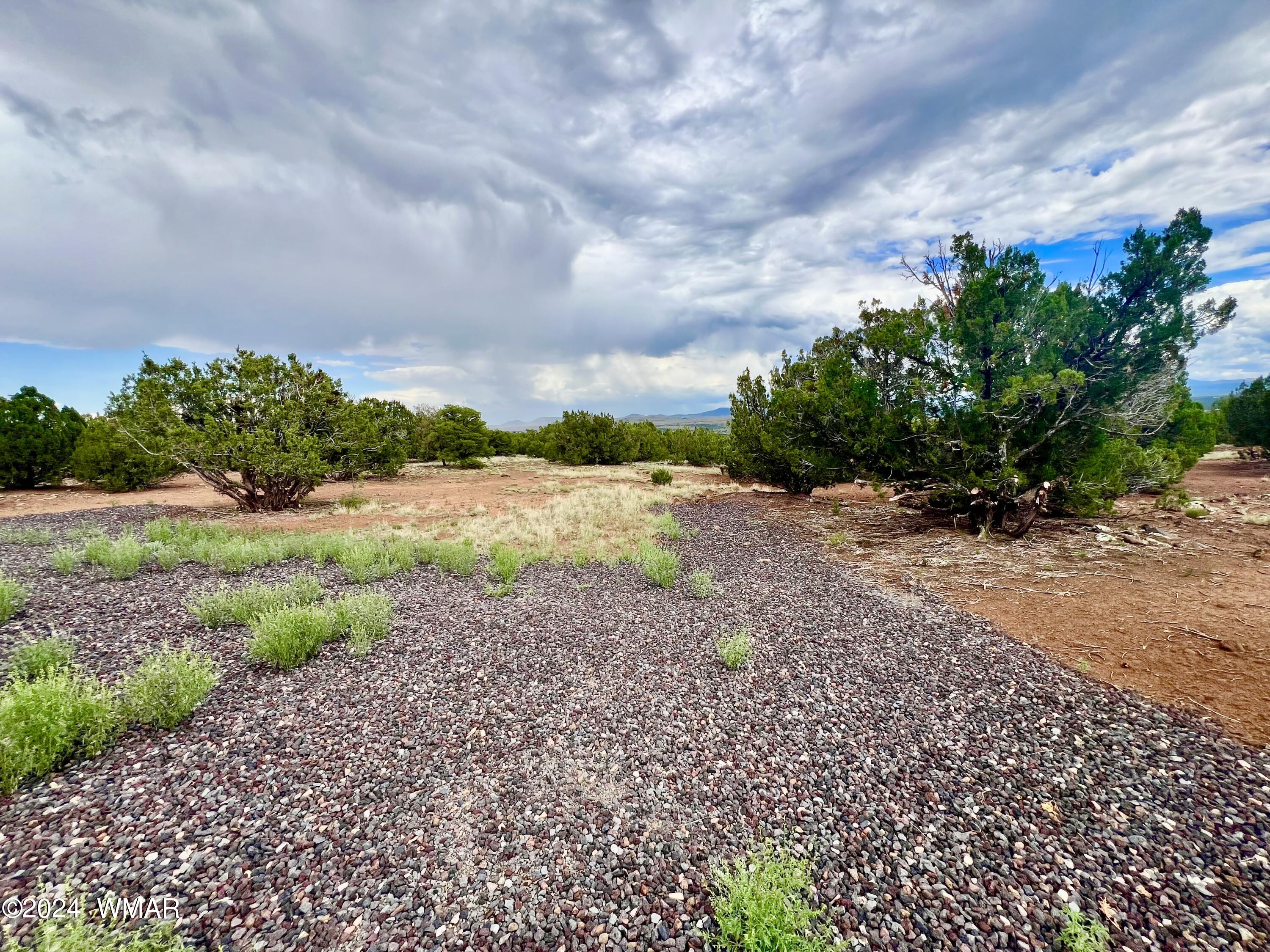 43-47 County Road Concho, AZ 85924 - Photo 22 of 22 IMG_9336