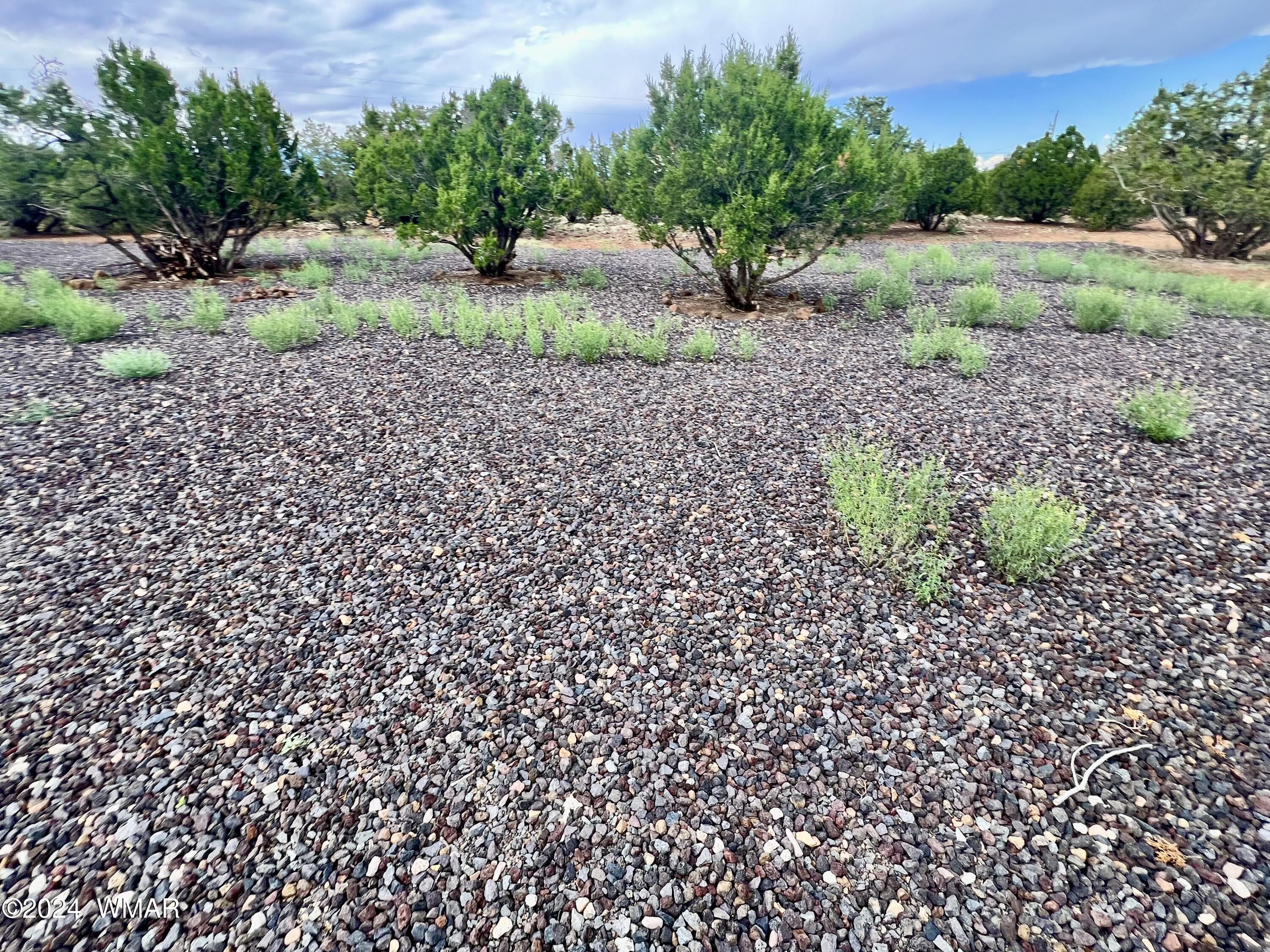 43-47 County Road Concho, AZ 85924 - Photo 10 of 22 IMG_9334