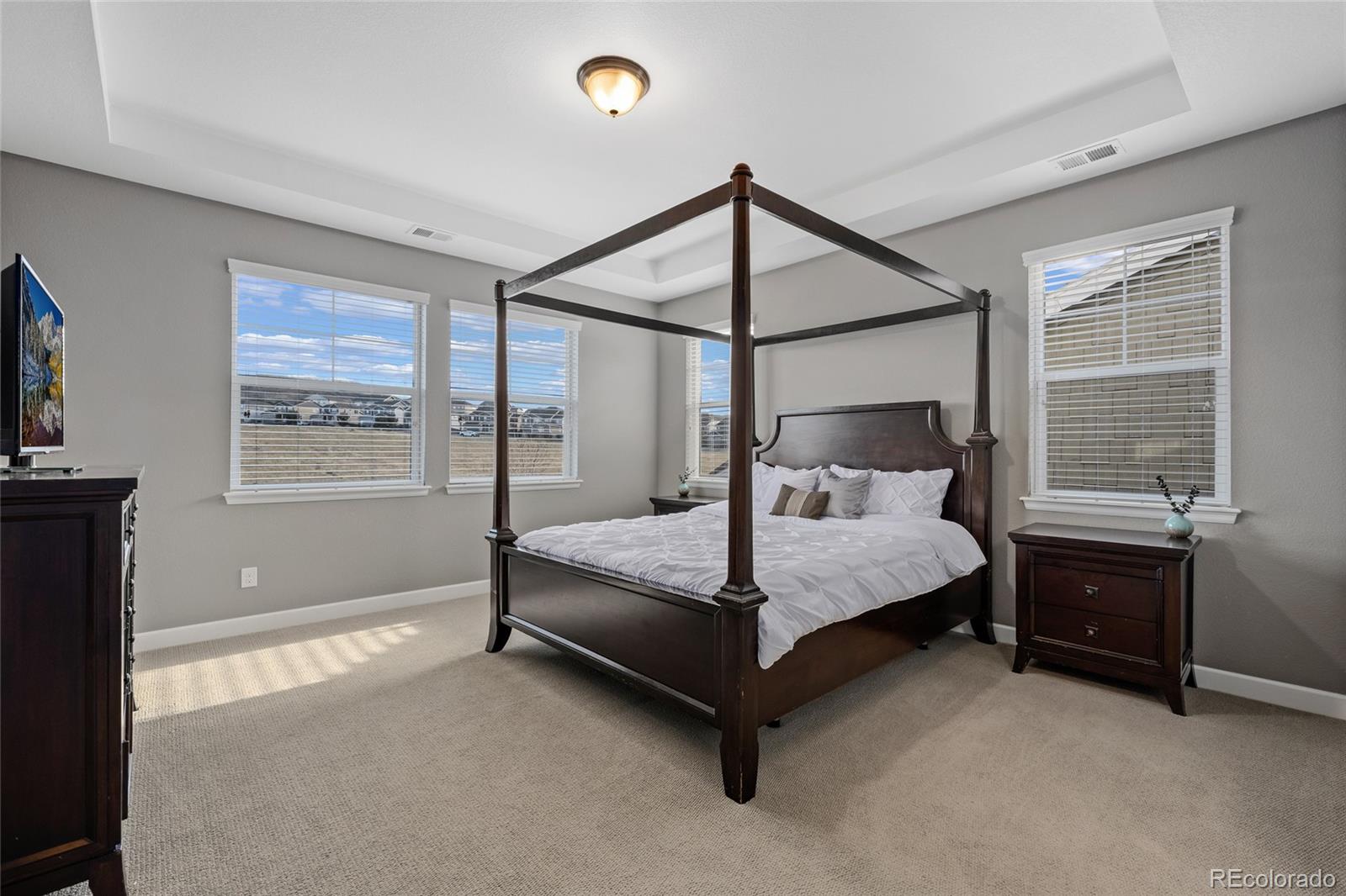 2762 Rising Moon Way Castle Rock, CO 80109 - Photo 17 of 40 Gallery Image 17