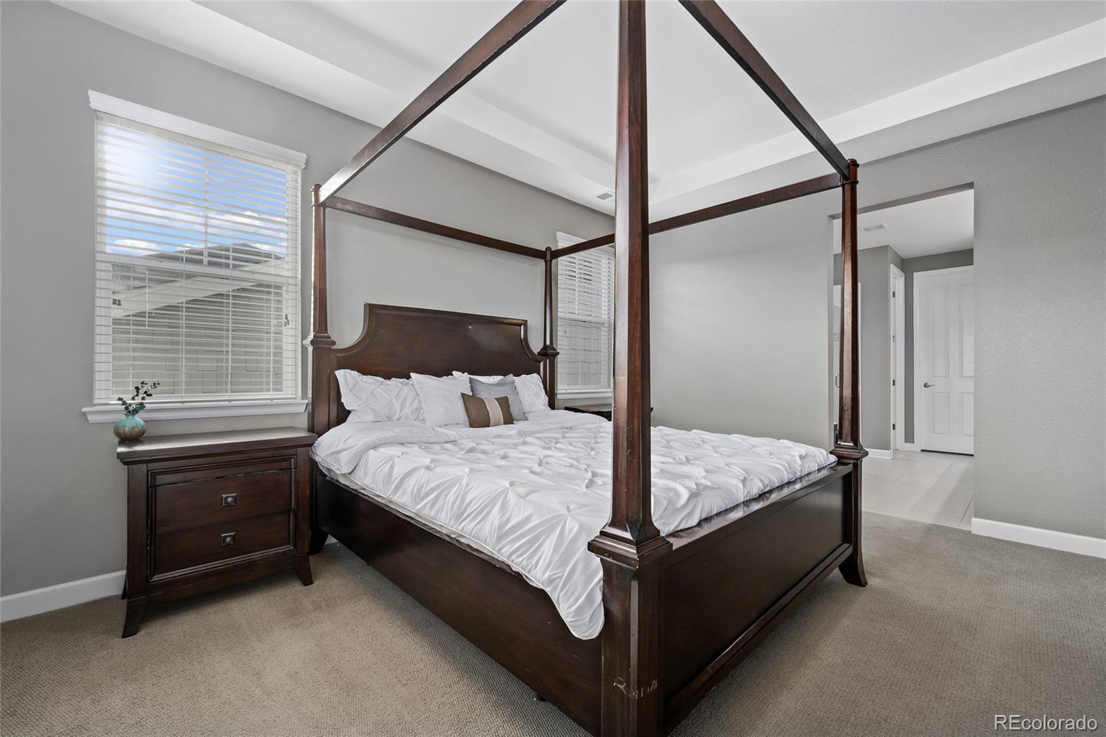 2762 Rising Moon Way Castle Rock, CO 80109 - Photo 18 of 40 Gallery Image 18