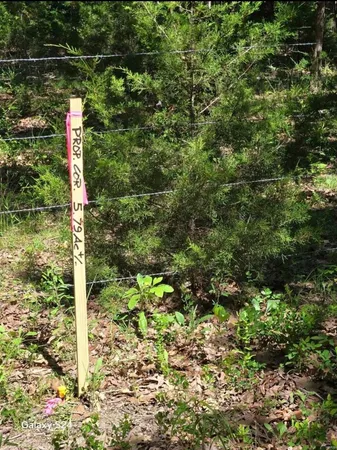 $34,740 | 0 Track 2 Dusty Road, Cadet, MO 63630