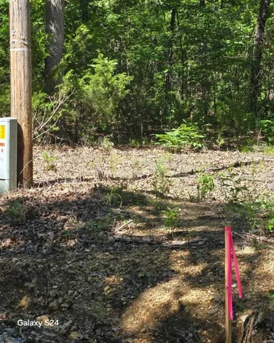 $34,740 | 0 Track 2 Dusty Road, Cadet, MO 63630