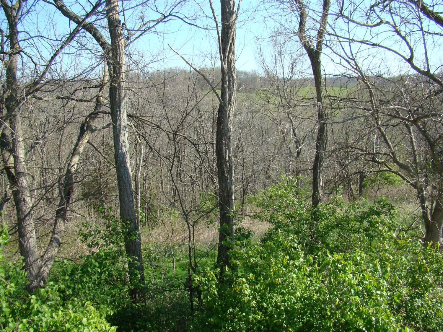 0 Myers Road Carlisle, KY 40311 - Photo 6 of 9 Photo 6