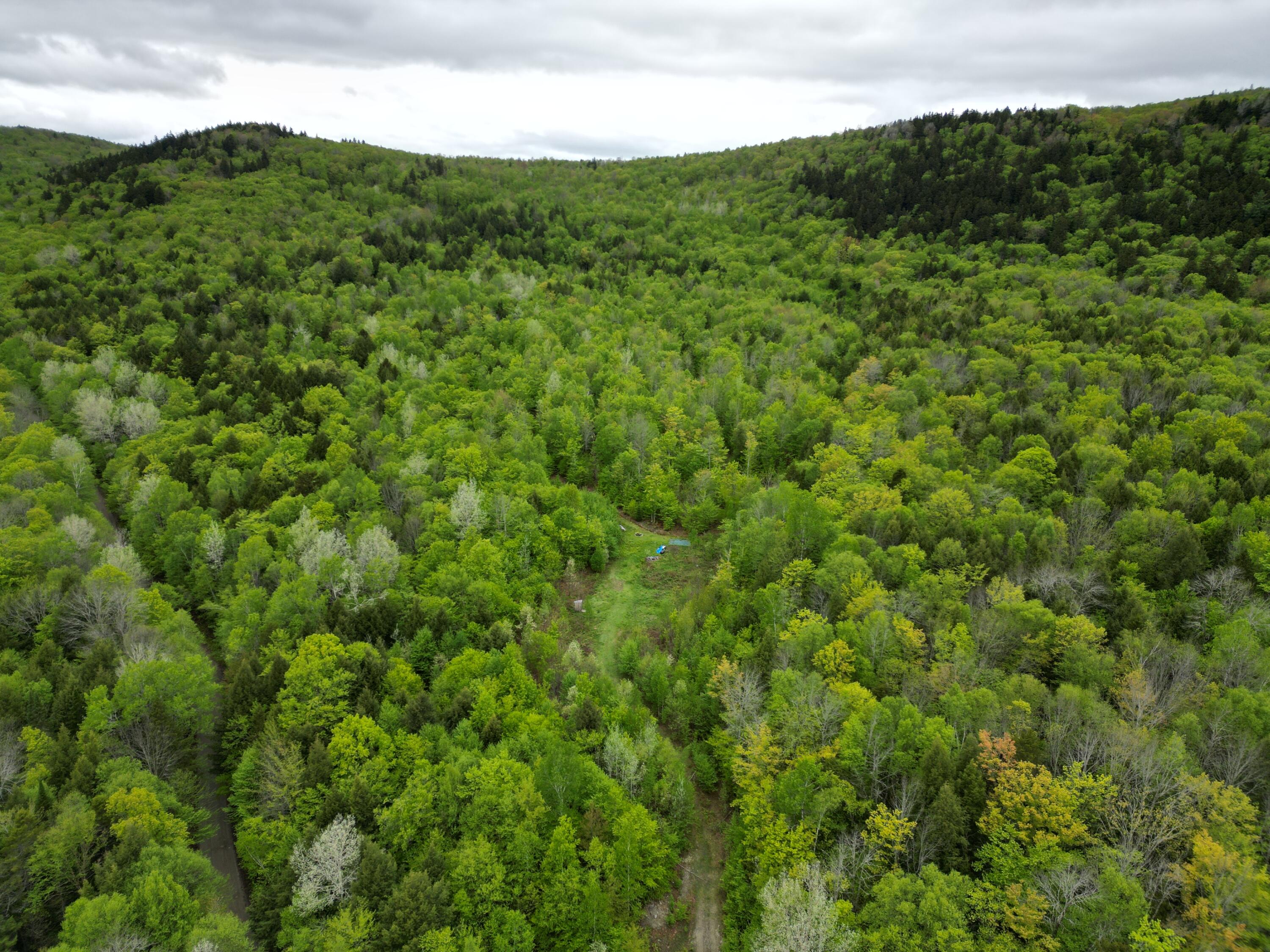 Lot 8-2 Dill Valley Road Lakeville, ME 04487 - Photo 15 of 21 DJI_0890