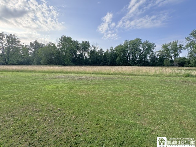151 West Chestnut Street Dunkirk, NY 14048 - Photo 13 of 32