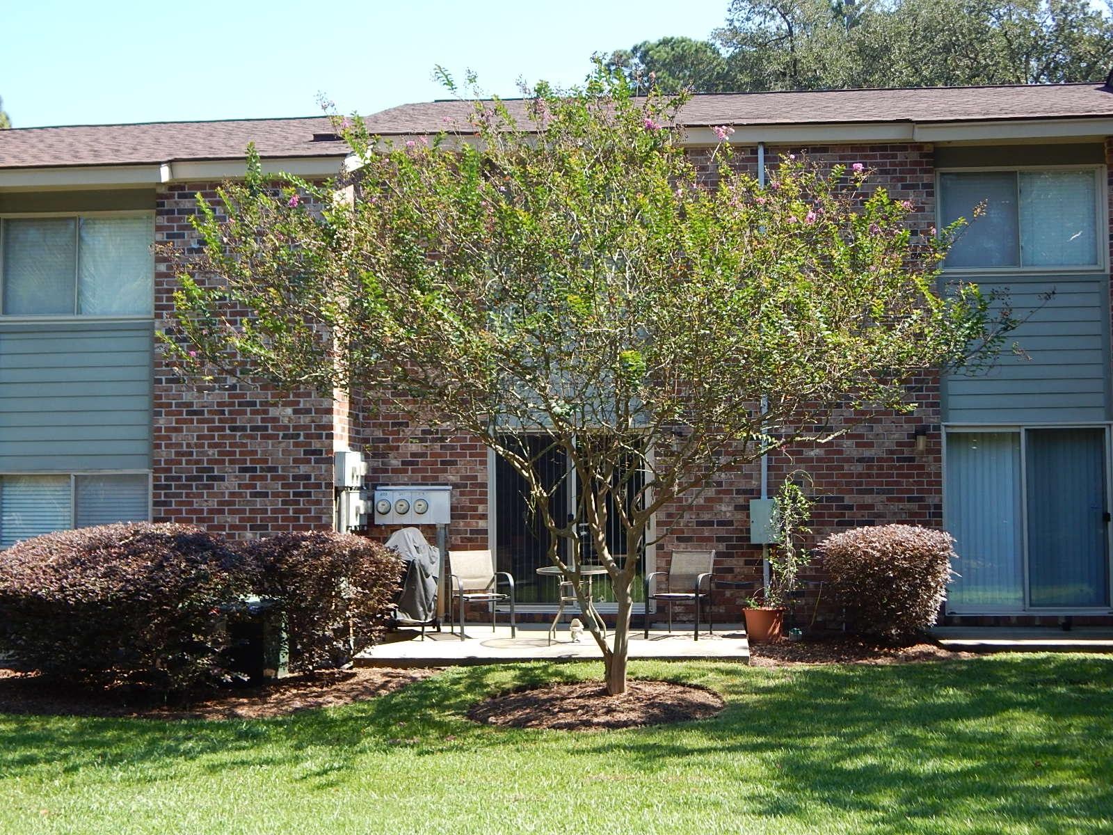 205 Andrea Lane Hanahan, SC 29410 - Photo 19 of 36 19