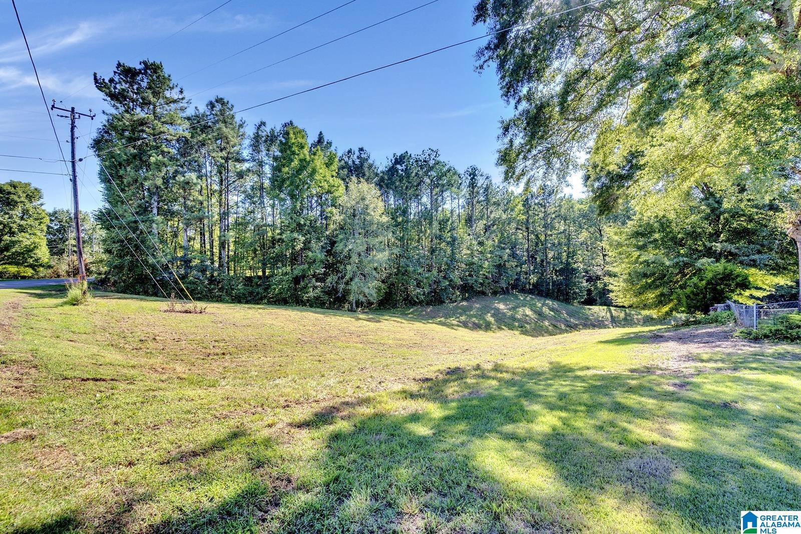 776 Johnson Drive Cleveland, AL 35049 - Photo 4 of 23