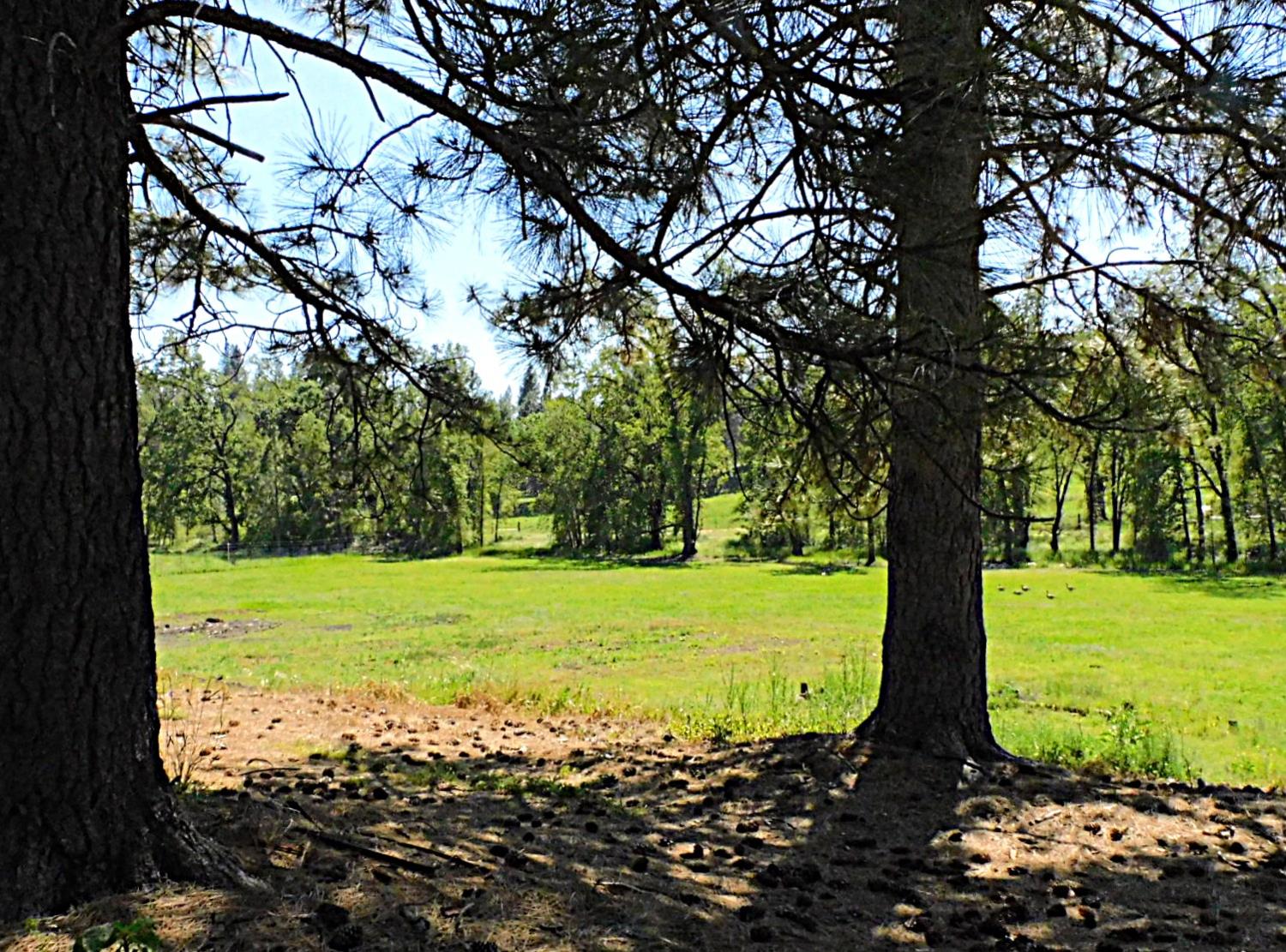 4360 Pleasant Valley Road Placerville, CA 95667 - Photo 70 of 71