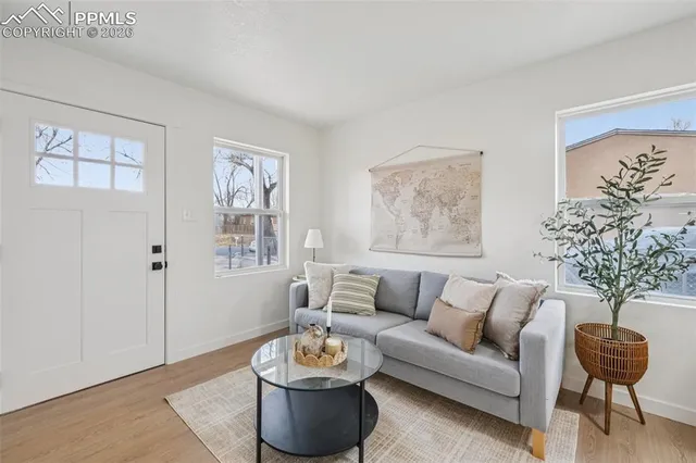 a living room with furniture and a potted plant