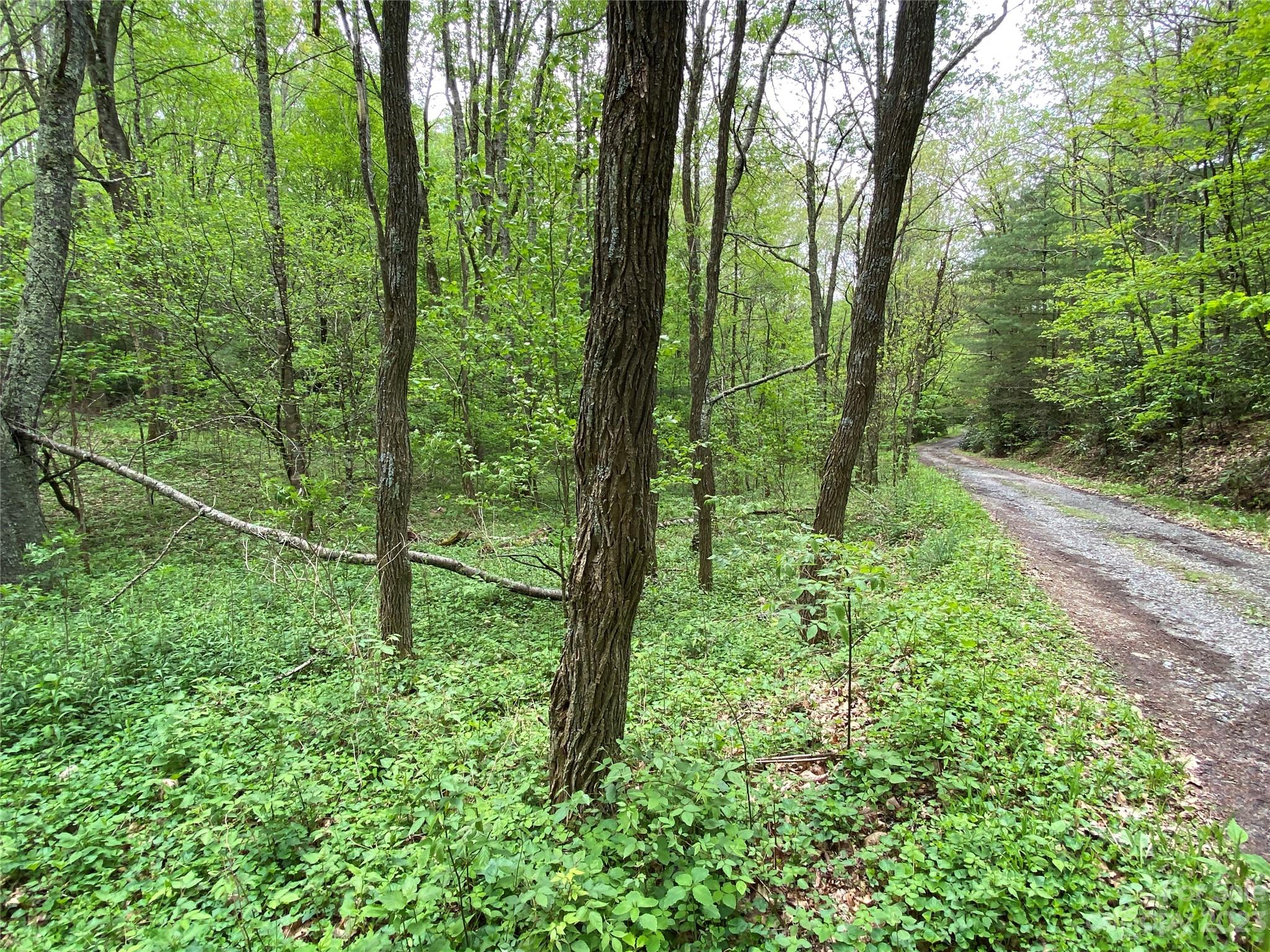 49 Rhoneys View Road Newland, NC 28657 - Photo 2 of 3 Gallery Image 2