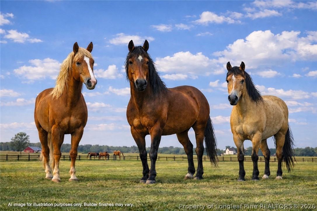 0 Paddock Meadows Red Springs, NC 28377 - Photo 26 of 26