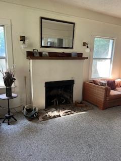 250 Sycamore Street Gridley, CA 95948 - Photo 6 of 13