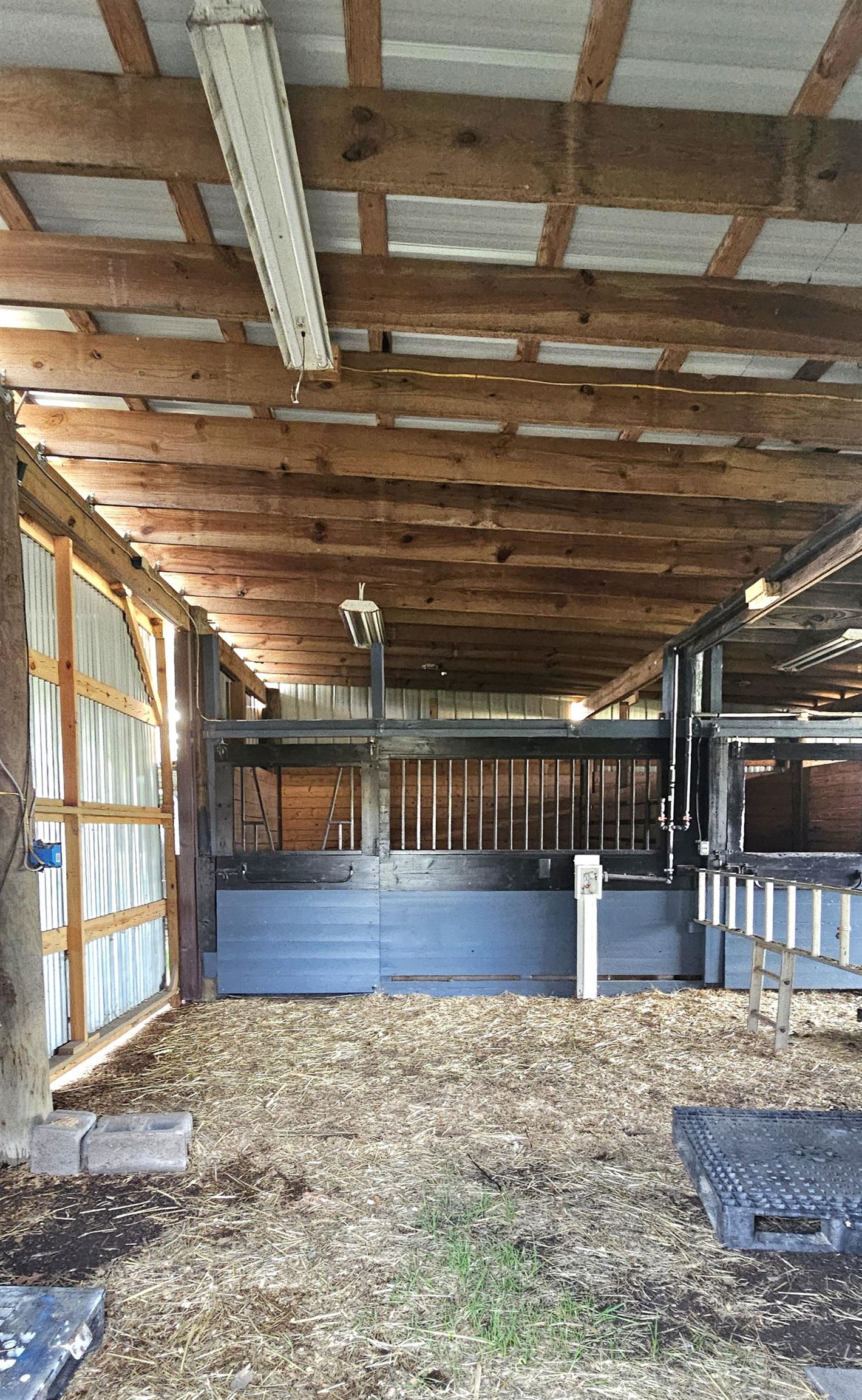 181 Halfway Road Nichols, SC 29581 - Photo 66 of 79