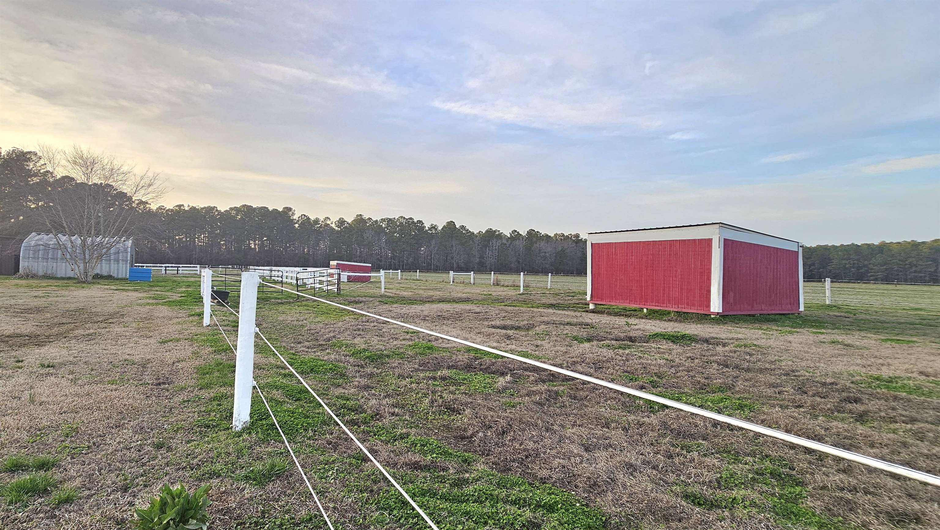 181 Halfway Road Nichols, SC 29581 - Photo 71 of 79