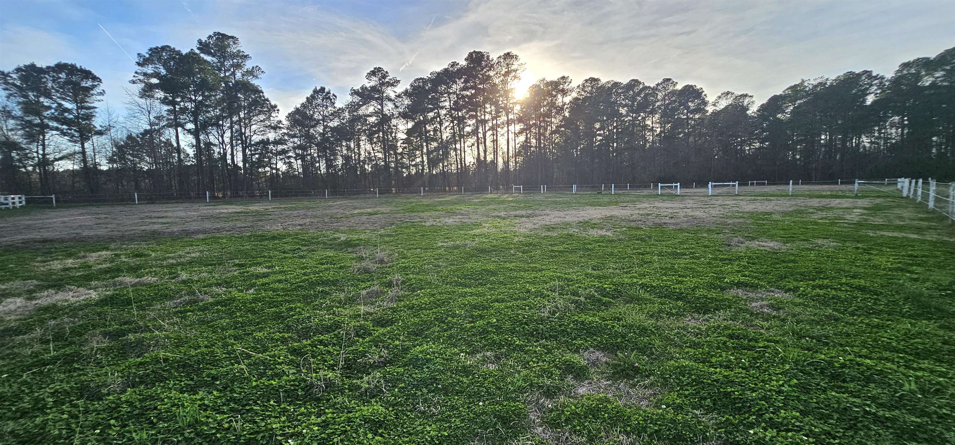 181 Halfway Road Nichols, SC 29581 - Photo 78 of 79