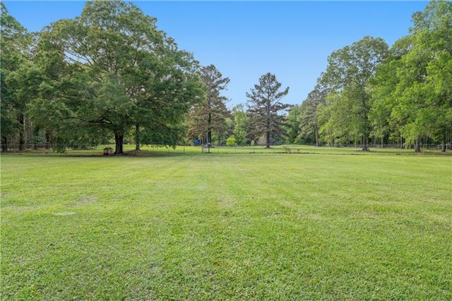 169 Highway 107/155 Cufoff Rd Center Point Center Point, LA 71323 - Photo 41 of 49