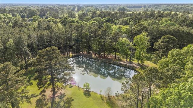 169 Highway 107/155 Cufoff Rd Center Point Center Point, LA 71323 - Photo 5 of 49