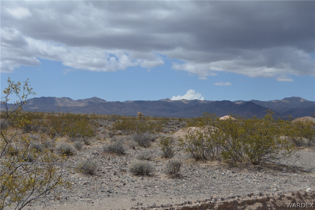 658 South Custer Road Yucca, AZ 86438 - Photo 1 of 24