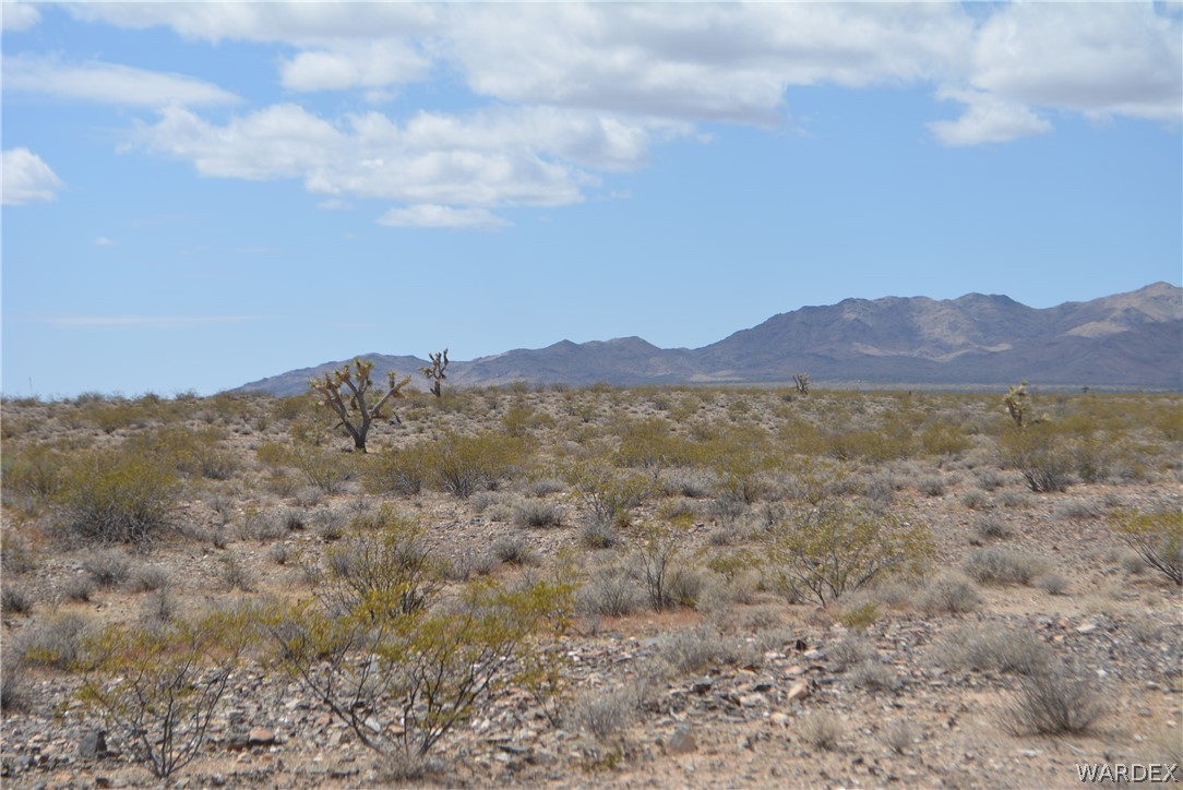 658 South Custer Road Yucca, AZ 86438 - Photo 3 of 24