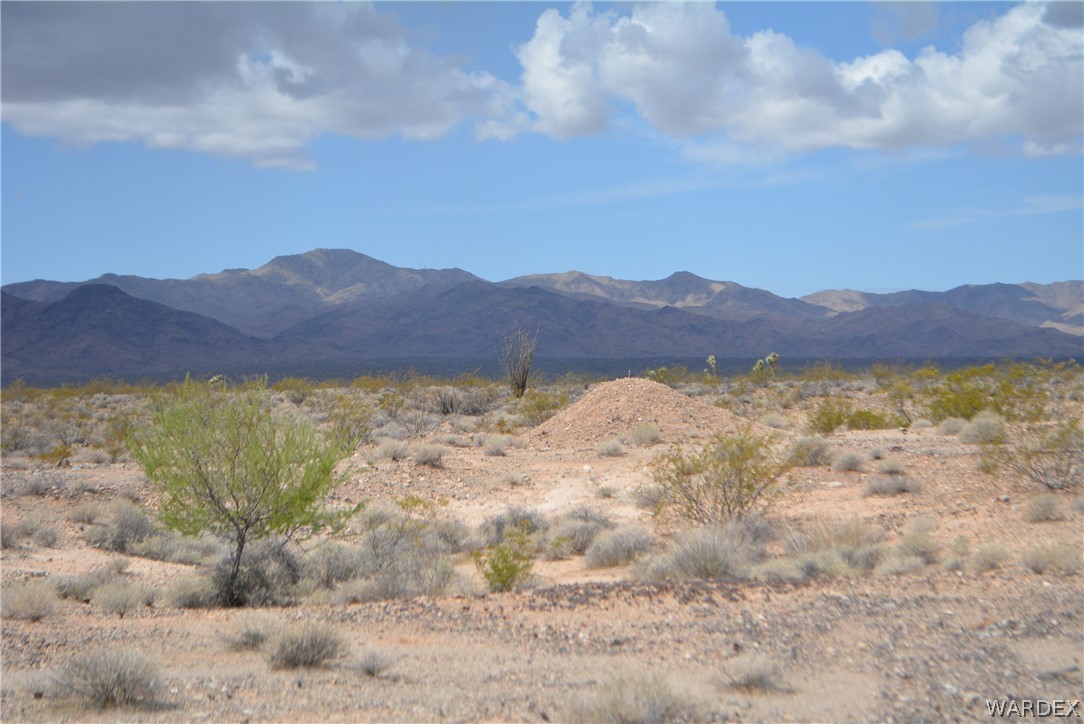 658 South Custer Road Yucca, AZ 86438 - Photo 6 of 24