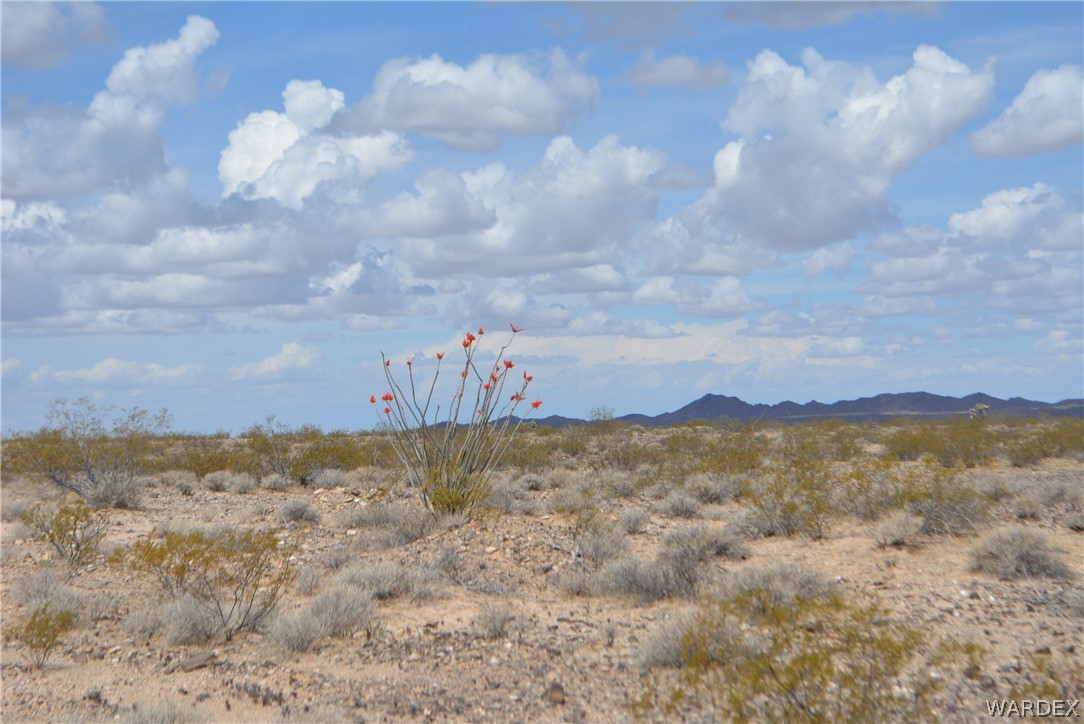 658 South Custer Road Yucca, AZ 86438 - Photo 8 of 24
