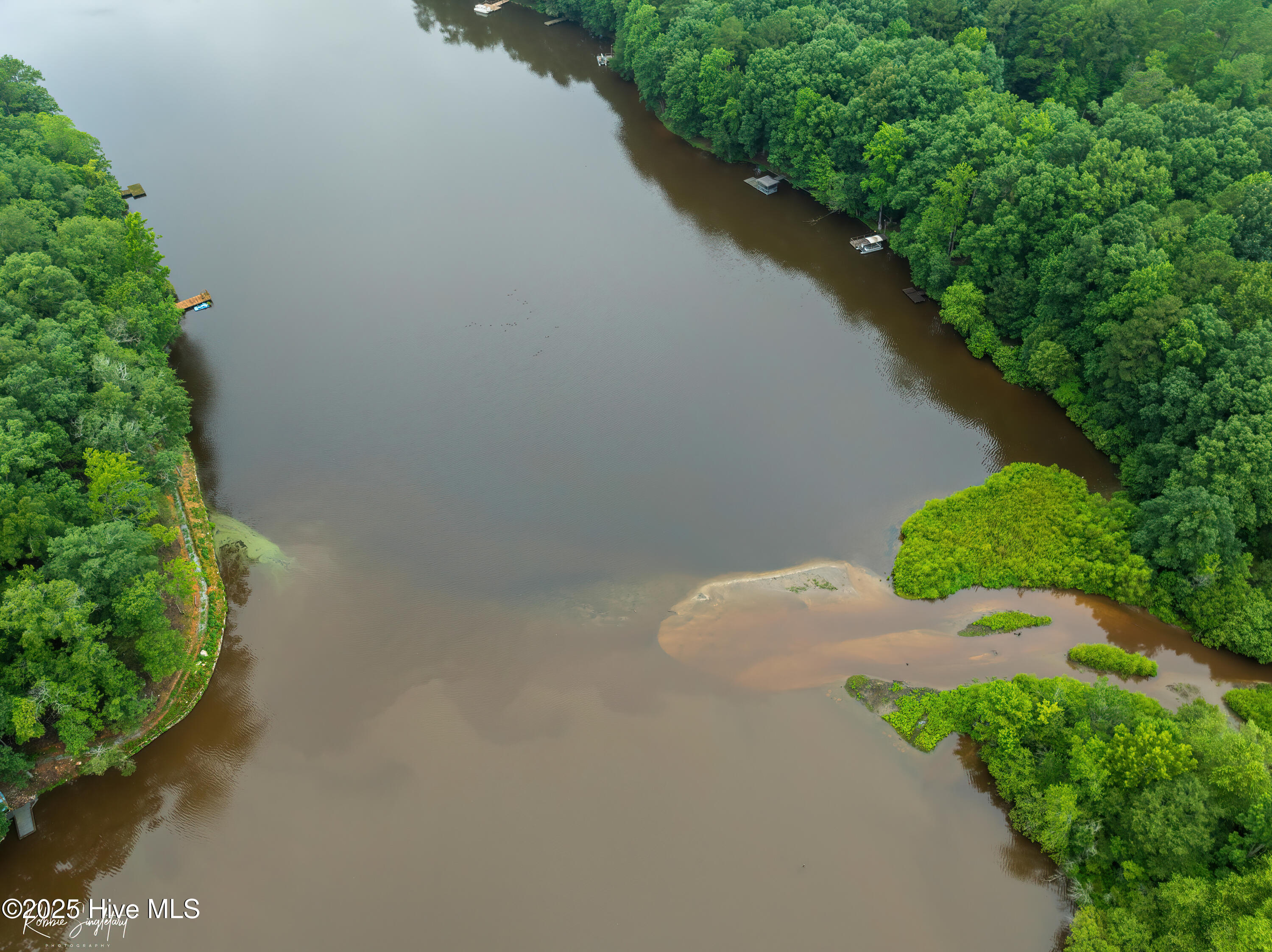 299 Rankin Lake Road Ellerbe, NC 28338 - Photo 50 of 61 RS 1 DJI_0543