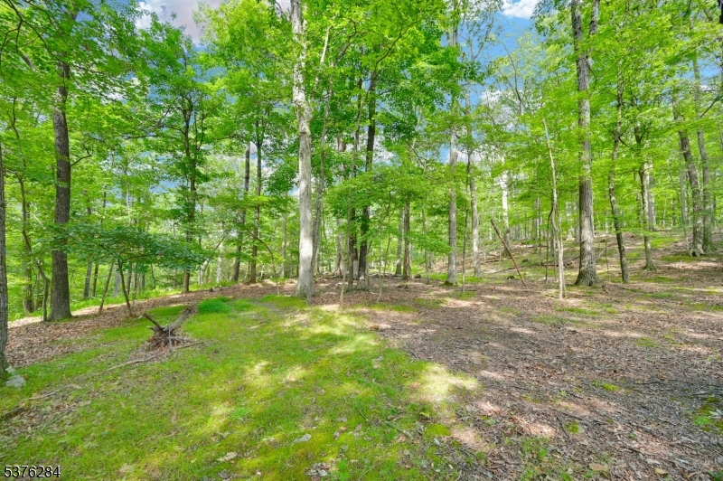 51 Paulinskill Lake Road Newton, NJ 07860 - Photo 2 of 14 a view of yard with green space