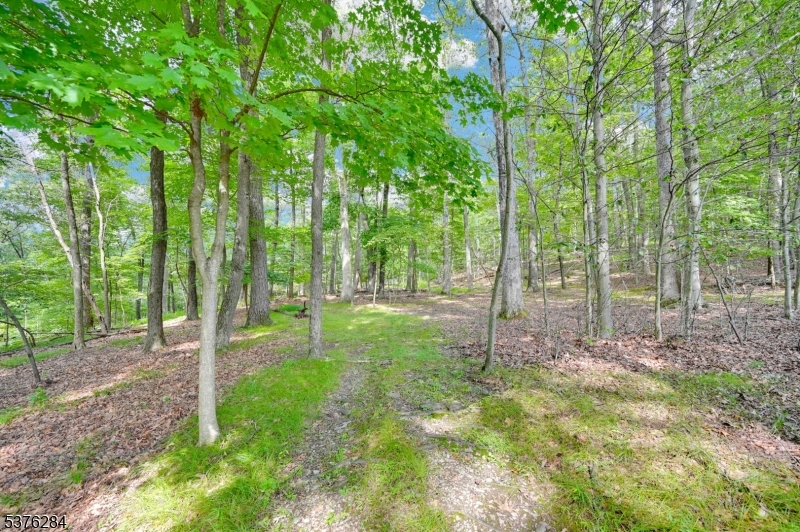 51 Paulinskill Lake Road Newton, NJ 07860 - Photo 3 of 14 a view of lush green forest