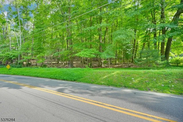 a view of a yard with large trees