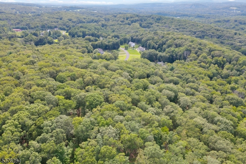 51 Paulinskill Lake Road Newton, NJ 07860 - Photo 9 of 14