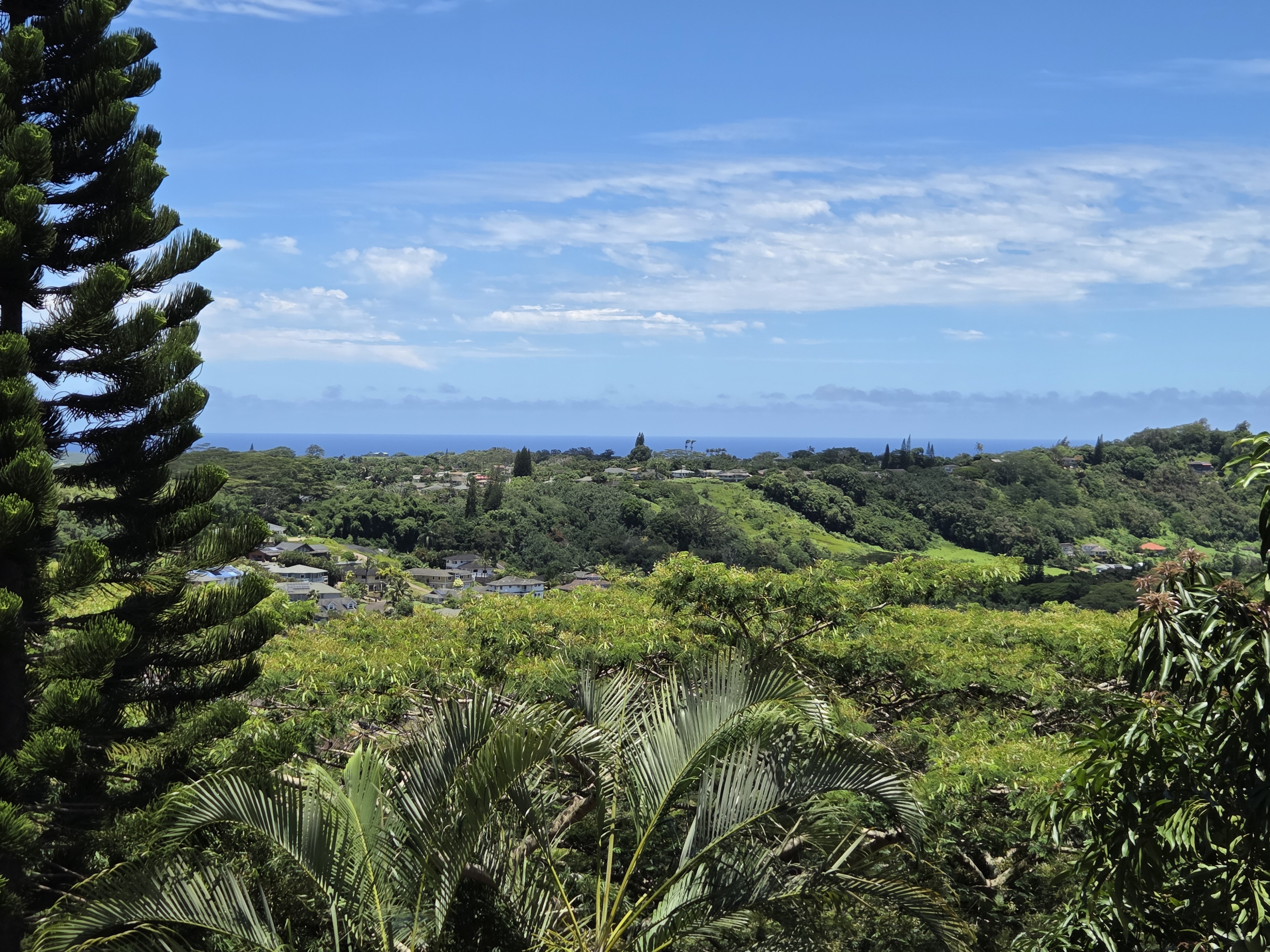3320 B Wawae Road Kalaheo, HI 96741 - Photo 3 of 18