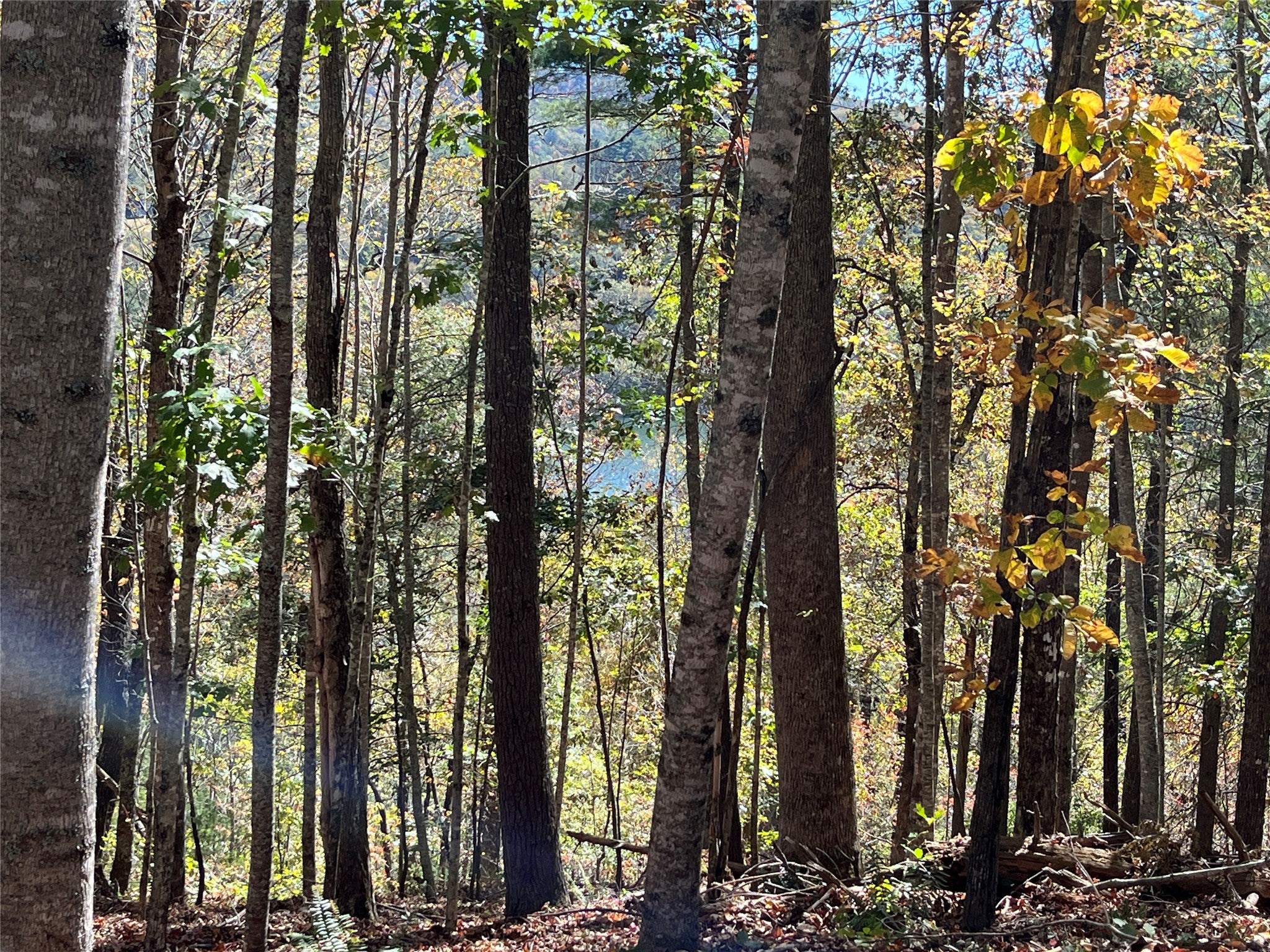 Lot #4 Rendezvous Ridge Cashiers, NC 28717 - Photo 6 of 7 Gallery Image 6