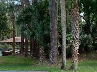 a view of backyard with outdoor seating and green space