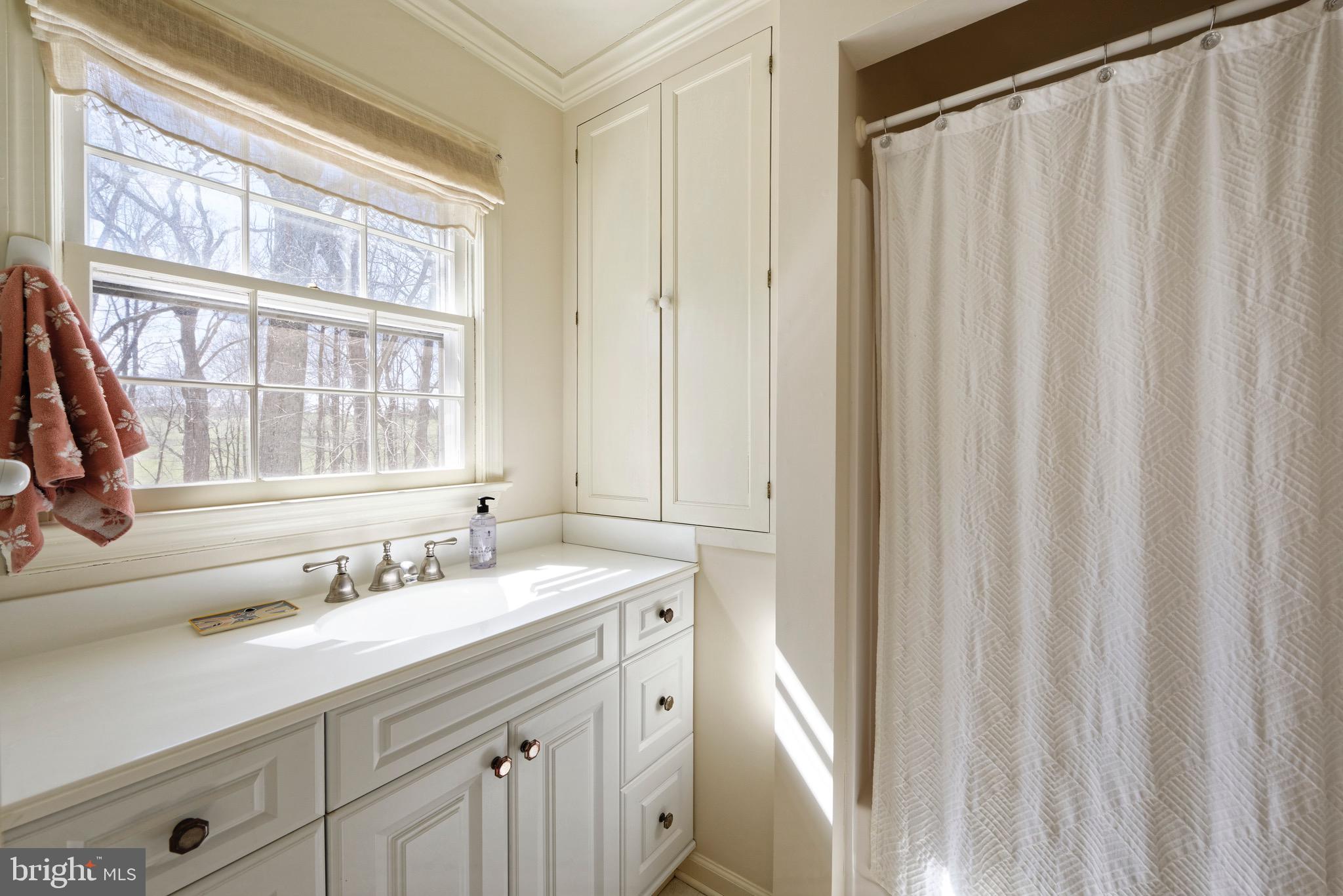 3566 Zulla Road The Plains, VA 20198 - Photo 17 of 50 Primary Bath with a combination tub/shower