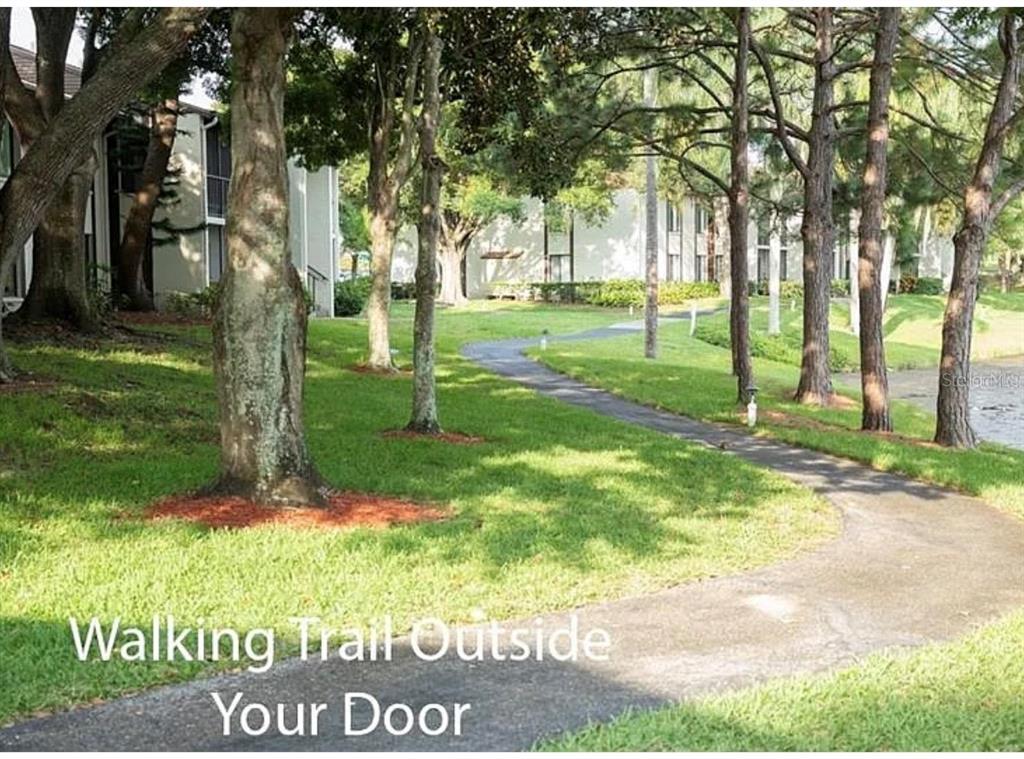 1724 Pine Ridge Way West, Unit B1 Palm Harbor, FL 34684 - Photo 3 of 12 a view of a park with of trees