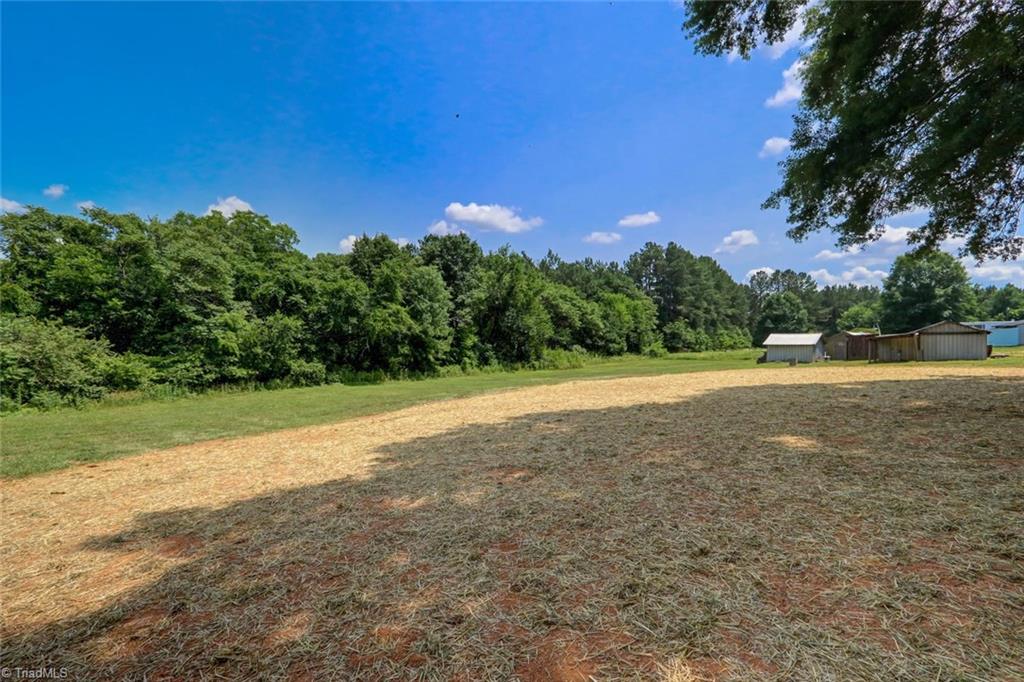 211 Cook Florist Road Reidsville, NC 27320 - Photo 25 of 30 Gallery Image 25