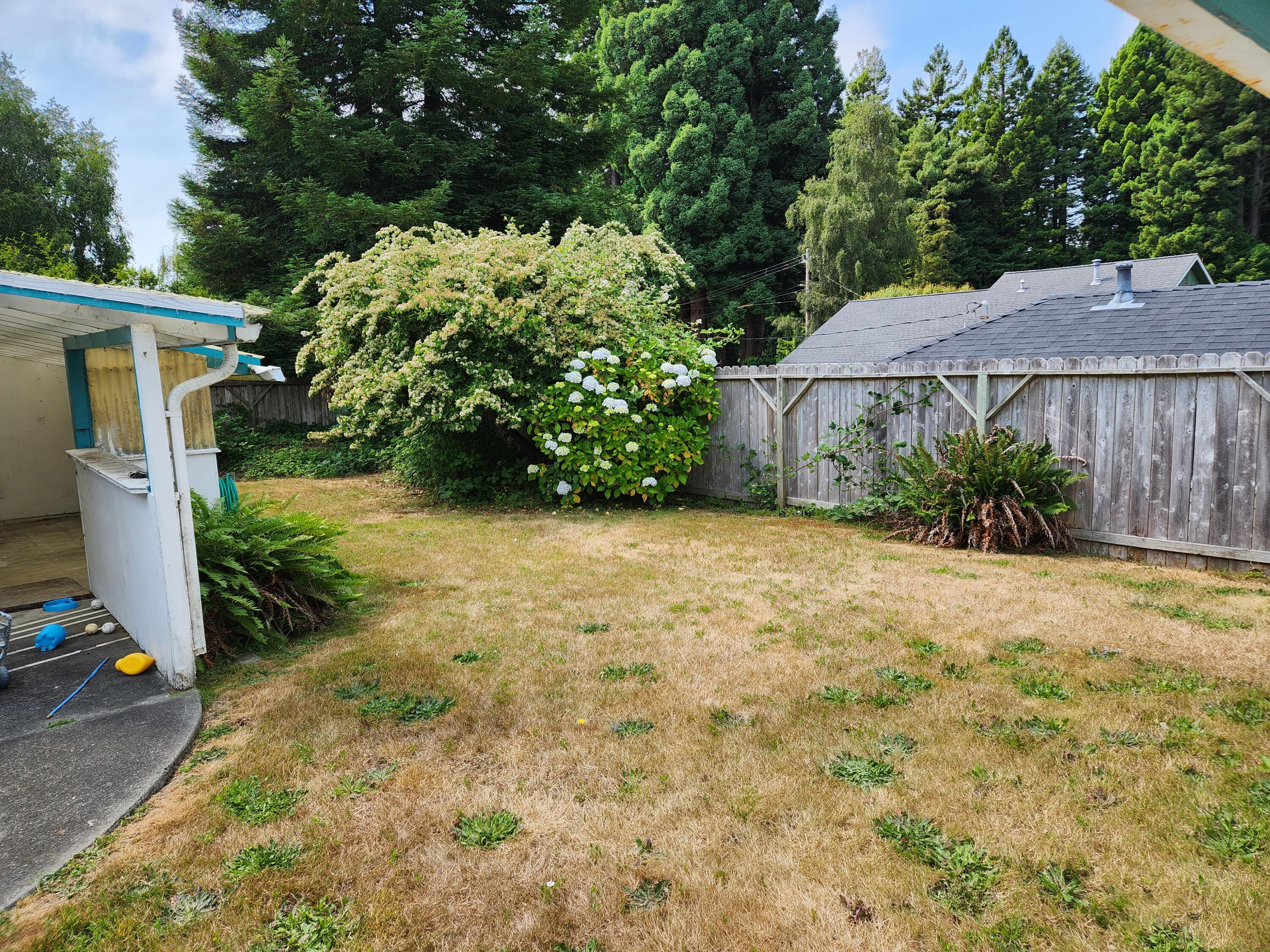 2163 Fern Street Cutten, CA 95503 - Photo 6 of 23 a view of a backyard