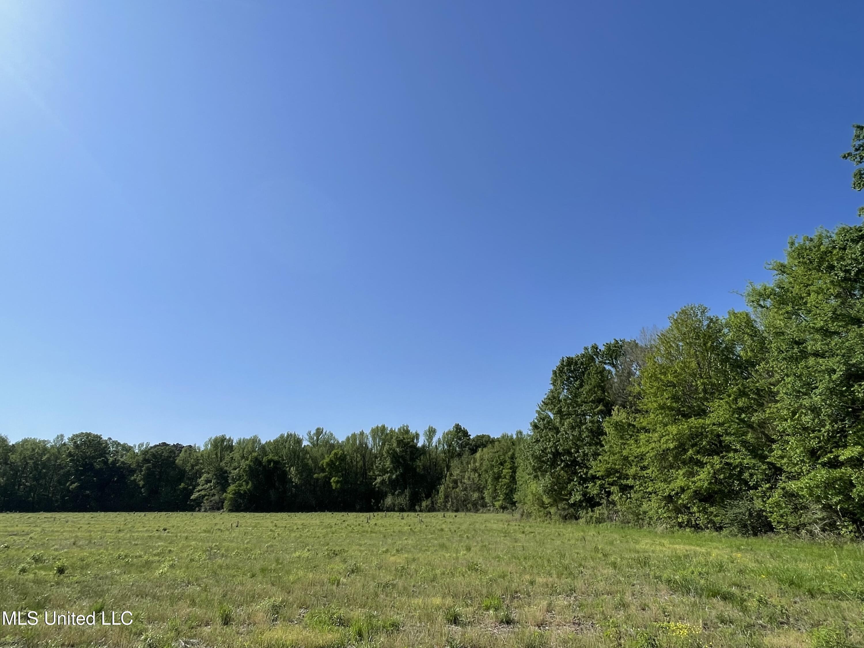 2 Renfroe Road Canton, MS 39046 - Photo 3 of 18 IMG_3659