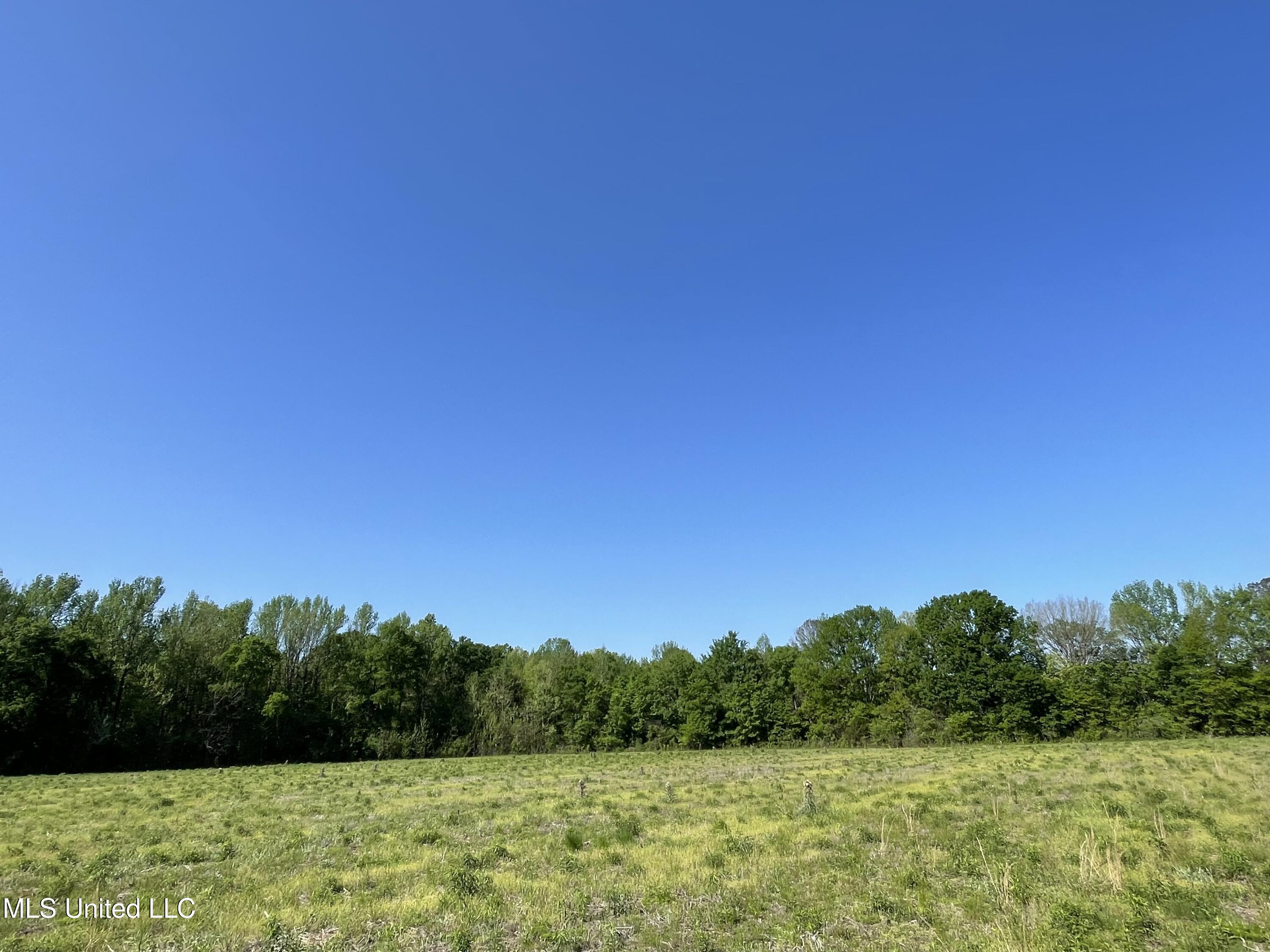 2 Renfroe Road Canton, MS 39046 - Photo 5 of 18 IMG_3662
