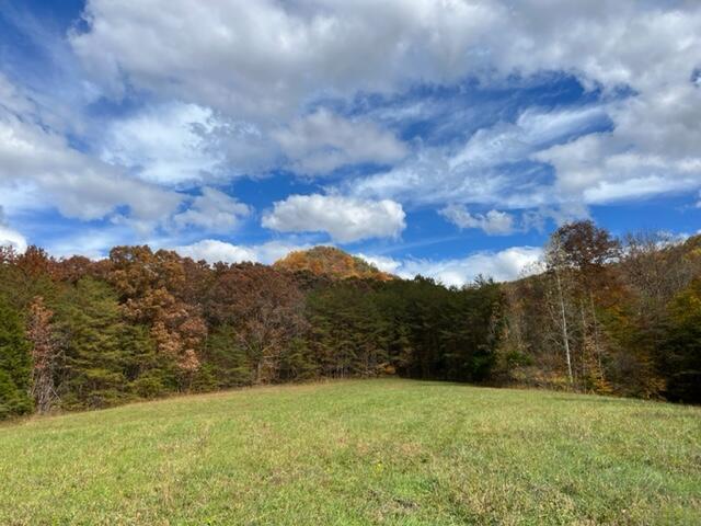 9999 Sunrise Valley Road, Unit TRACT 2 Irvine, KY 40336 - Photo 18 of 33 WW 31