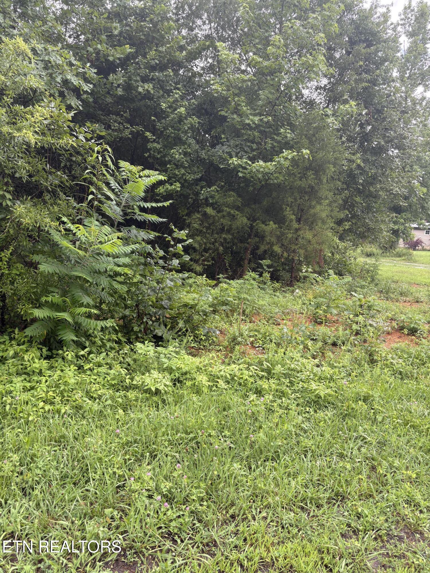 349 Carolyn Lane Decatur, TN 37322 - Photo 2 of 4 IMG_0211