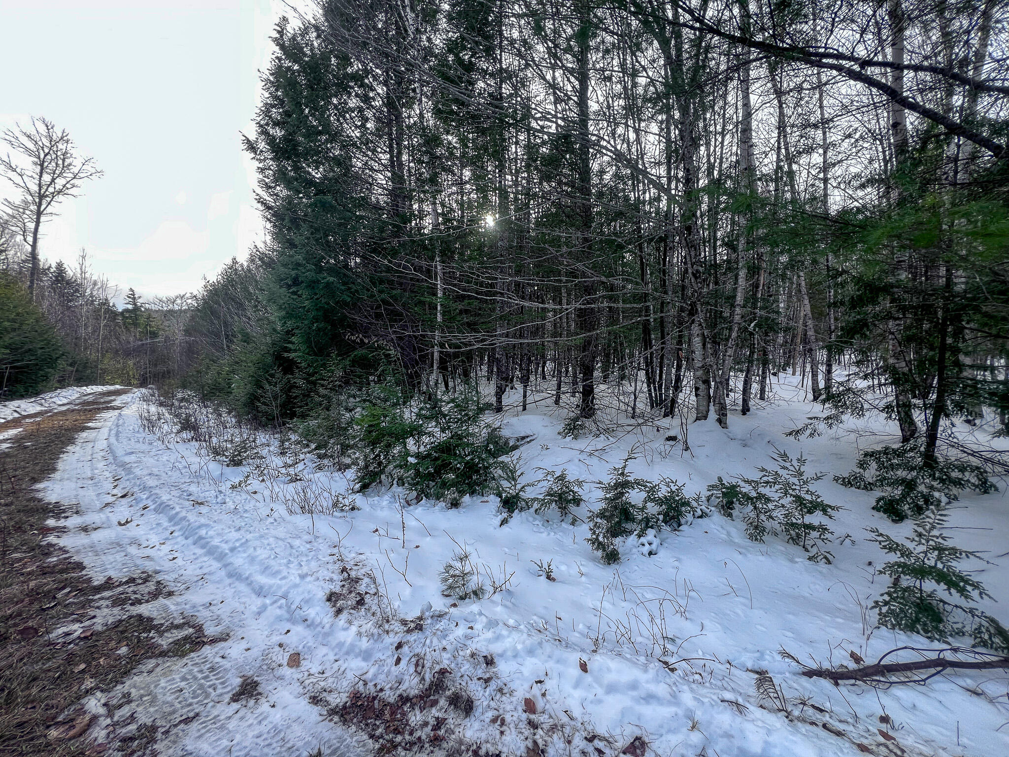 2 Spruce Point Road Lowell, ME 04493 - Photo 14 of 17 IMG_2712