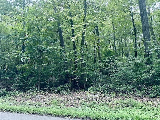 9050 Reservoir Road Germansville, PA 18053 - Photo 2 of 3 a view of a lush green forest