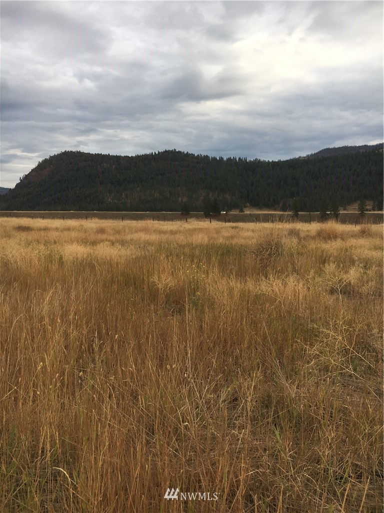 -tbd Aeneas Valley Road Tonasket, WA 98855 - Photo 1 of 13 Gallery Image 1