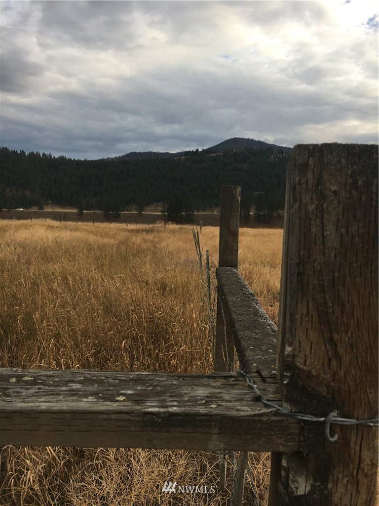 -tbd Aeneas Valley Road Tonasket, WA 98855 - Photo 2 of 13 Gallery Image 2